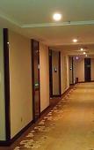Туры в отель Vienna International Hotel (Foshan Flower World) Туры в отель Vienna International Hotel (Foshan Flower World)