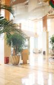 Туры в отель Empark Seabed Hot Spring Hotel Туры в отель Empark Seabed Hot Spring Hotel