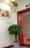 Туры в отель Super 8 Hotel (Beijing Qianmen Guangqumennei Metro Station) Туры в отель Super 8 Hotel (Beijing Qianmen Guangqumennei Metro Station)