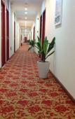 Туры в отель Super 8 Hotel (Beijing Qianmen Guangqumennei Metro Station) Туры в отель Super 8 Hotel (Beijing Qianmen Guangqumennei Metro Station)