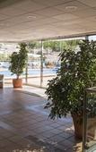 Туры в отель Apartamentos Ponent Туры в отель Apartamentos Ponent