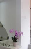 Туры в отель Casa Mafalda B&B Туры в отель Casa Mafalda B&B