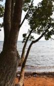 Туры в отель Naivacha Tent Koh Mak Туры в отель Naivacha Tent Koh Mak
