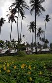 Туры в отель Naivacha Tent Koh Mak Туры в отель Naivacha Tent Koh Mak