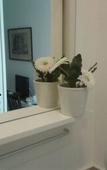 Туры в отель B&B Adelberga Туры в отель B&B Adelberga