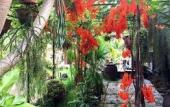 Туры в отель Ruean Thai Nai Bang by Pansak Resort Туры в отель Ruean Thai Nai Bang by Pansak Resort