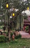 Туры в отель Ruean Thai Nai Bang by Pansak Resort Туры в отель Ruean Thai Nai Bang by Pansak Resort