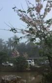 Туры в отель Ruean Thai Nai Bang by Pansak Resort Туры в отель Ruean Thai Nai Bang by Pansak Resort