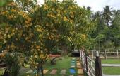 Туры в отель Ruean Thai Nai Bang by Pansak Resort Туры в отель Ruean Thai Nai Bang by Pansak Resort