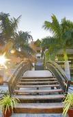 Туры в отель Rudraksh Club & Resort Туры в отель Rudraksh Club & Resort