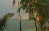 Туры в отель Island View Beachfront Resort Туры в отель Island View Beachfront Resort