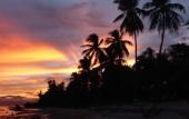 Туры в отель Island View Beachfront Resort Туры в отель Island View Beachfront Resort