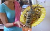Туры в отель Island View Beachfront Resort Туры в отель Island View Beachfront Resort