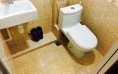 Туры в отель Victoria Inn Туры в отель Victoria Inn