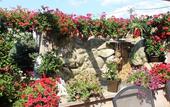Туры в отель Guesthouse Tara Туры в отель Guesthouse Tara