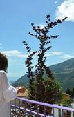 Туры в отель Hotel Corona Туры в отель Hotel Corona