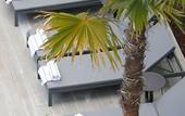 Туры в отель Riley, a Crystalbrook Collection Resort Туры в отель Riley, a Crystalbrook Collection Resort