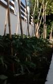 Туры в отель Villa Karina - Near Achladies Beach Туры в отель Villa Karina - Near Achladies Beach