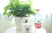 Туры в отель GreenTree Inn (Beijing Chaoyang District Maquanying Metro Station) Туры в отель GreenTree Inn (Beijing Chaoyang District Maquanying Metro Station)