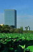 Туры в отель Jingcheng International Hotel Туры в отель Jingcheng International Hotel