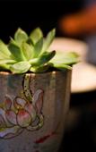 Туры в отель Lotus Villa Hotel Туры в отель Lotus Villa Hotel