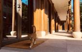 Туры в отель Blossom House Ningbo Туры в отель Blossom House Ningbo