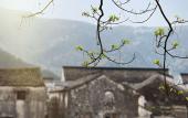 Туры в отель Blossom House Ningbo Туры в отель Blossom House Ningbo