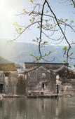 Туры в отель Blossom House Ningbo Туры в отель Blossom House Ningbo