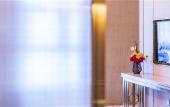 Туры в отель Howard Johnson New District Plaza ZiYang Туры в отель Howard Johnson New District Plaza ZiYang