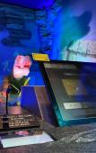 Туры в отель Henn na Resort & Spa Kansai Airport Туры в отель Henn na Resort & Spa Kansai Airport