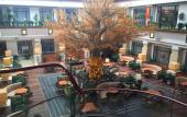 Туры в отель Amber Theme Hotel Туры в отель Amber Theme Hotel
