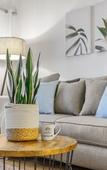 Туры в отель Alani Bay Premium Condos Туры в отель Alani Bay Premium Condos