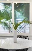 Туры в отель Alani Bay Premium Condos Туры в отель Alani Bay Premium Condos