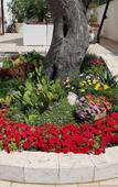 Туры в отель Hotel Victoria Туры в отель Hotel Victoria