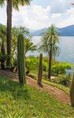 Туры в отель Hotel Villa Cipressi - by R Collection Hotels Туры в отель Hotel Villa Cipressi - by R Collection Hotels