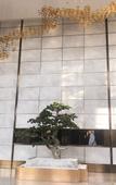 Туры в отель Chaohu International Hotel Туры в отель Chaohu International Hotel