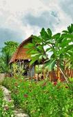 Туры в отель The Peace Arta Bungalow Туры в отель The Peace Arta Bungalow