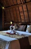 Туры в отель The Peace Arta Bungalow Туры в отель The Peace Arta Bungalow
