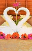 Туры в отель The Peace Arta Bungalow Туры в отель The Peace Arta Bungalow