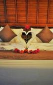 Туры в отель The Peace Arta Bungalow Туры в отель The Peace Arta Bungalow