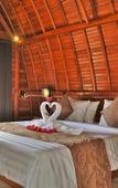 Туры в отель The Peace Arta Bungalow Туры в отель The Peace Arta Bungalow