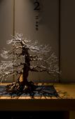 Туры в отель Onsen Ryokan Yuen Sapporo Туры в отель Onsen Ryokan Yuen Sapporo