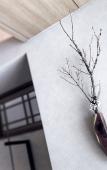 Туры в отель Onsen Ryokan Yuen Sapporo Туры в отель Onsen Ryokan Yuen Sapporo