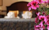 Туры в отель Hotel Palacio de Hemingway Туры в отель Hotel Palacio de Hemingway