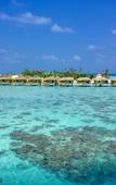 Туры в отель You & Me Maldives - Adults Only - Premium All-Inclusive Туры в отель You & Me Maldives - Adults Only - Premium All-Inclusive