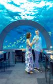 Туры в отель You & Me Maldives - Adults Only - Premium All-Inclusive Туры в отель You & Me Maldives - Adults Only - Premium All-Inclusive