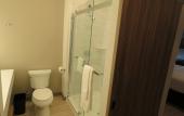 Туры в отель Wyndham Garden College Station Туры в отель Wyndham Garden College Station