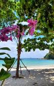 Туры в отель Blue Bay Bungalow Туры в отель Blue Bay Bungalow