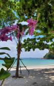 Туры в отель Blue Bay Bungalow Туры в отель Blue Bay Bungalow