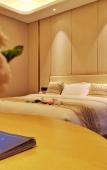 Туры в отель Ramada Plaza by Wyndham Dongxing Citycenter Туры в отель Ramada Plaza by Wyndham Dongxing Citycenter